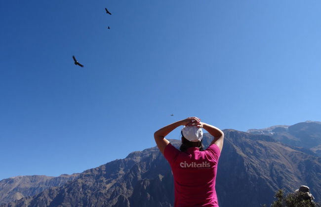 Tour de 2 dias ao Vale do Colca e ao mirante Cruz del Cóndor - Foto 5