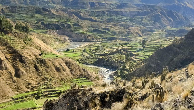 Escursione a Chivay e al Canyon del Colca - Foto 2