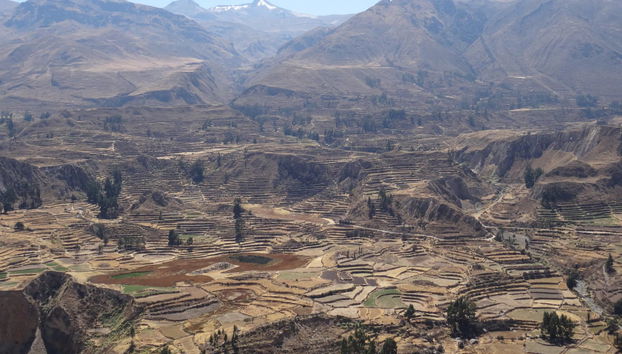 Escursione al Canyon del Colca con arrivo a Puno - Foto 2