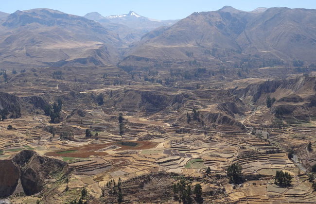 Escursione a Chivay e al Canyon del Colca - Foto 6