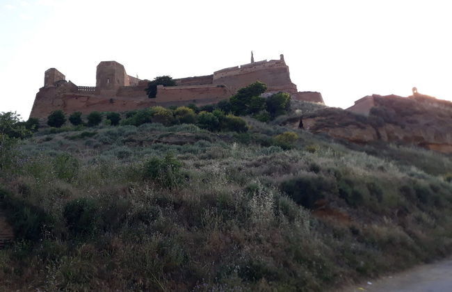 Visita guiada por Monzón - Foto 5