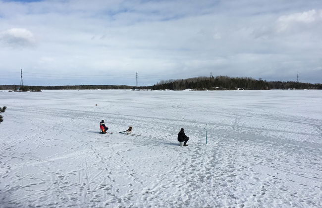 Pêche sur glace à Äkäslompolo - Photo 6