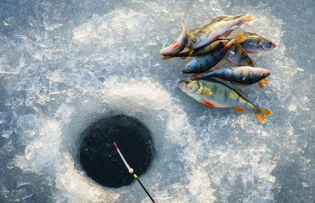 Pêche sur glace à Äkäslompolo - Photo 4