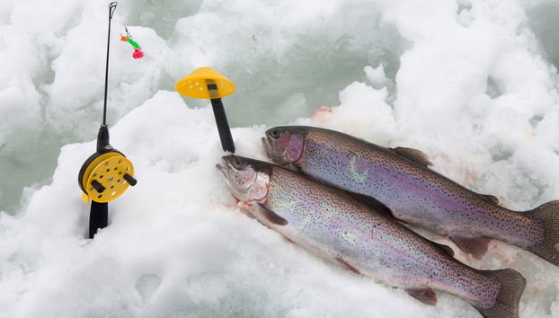 Kittilä Ice Fishing - Photo 5