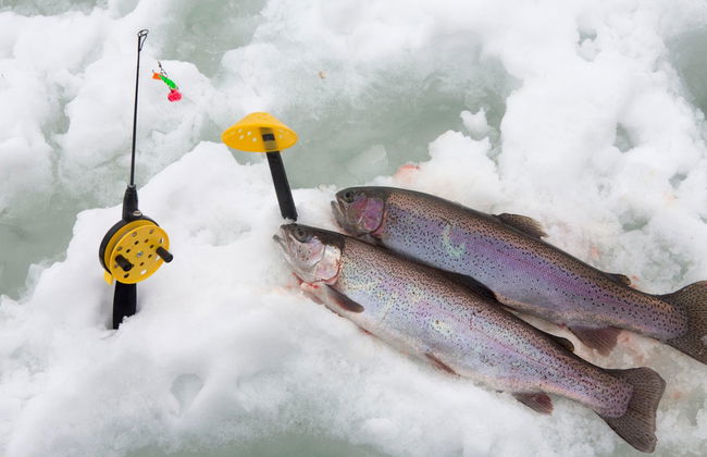 Pêche sur glace à Äkäslompolo - Photo 1