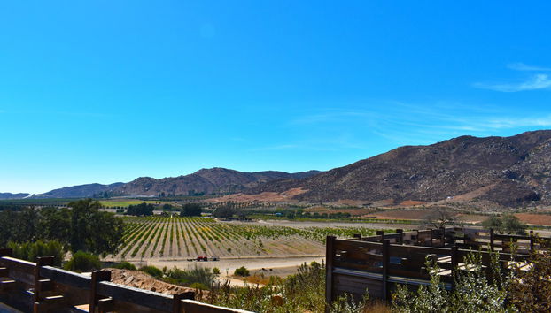 Excursão privada saindo de Tijuana - Foto 2