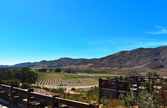 Excursão privada saindo de Tijuana - Foto 2