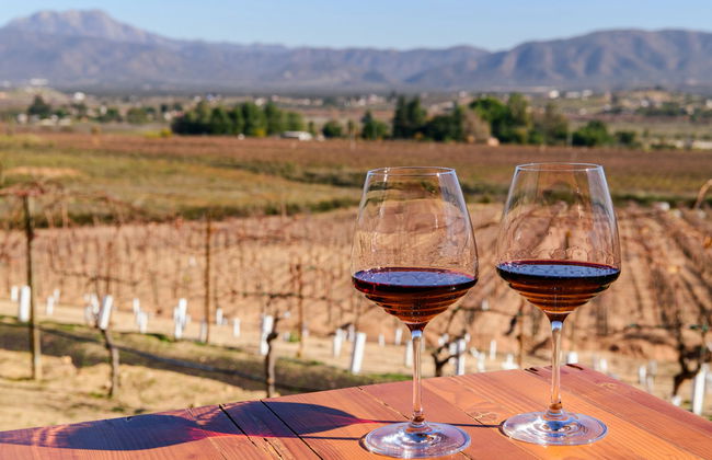 Excursão privada saindo de Tijuana - Foto 7