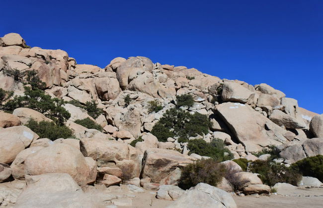 Excursão privada saindo de Tijuana - Foto 5