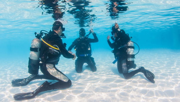 Beginners Scuba Diving in Moalboal - Foto 4