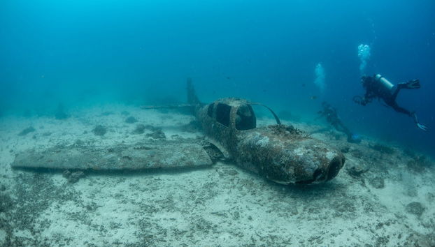 Corso di immersione PADI Open Water - Foto 4