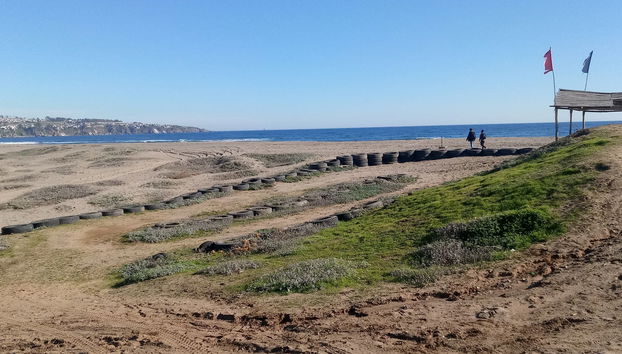 Excursion à l'île Noire, Algarrobo et Quintay - Photo 2