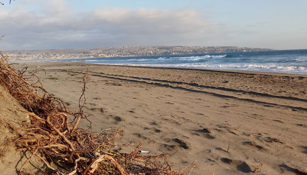Day Trip to Isla Negra, Algarrobo & Quintay - Foto 2