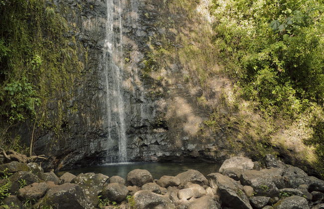 Excursion à la cascade de Manoa - Photo 1