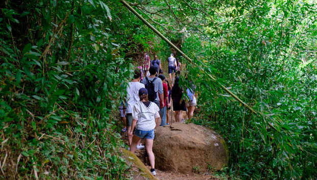 Manoa Falls Day Trip - Foto 3