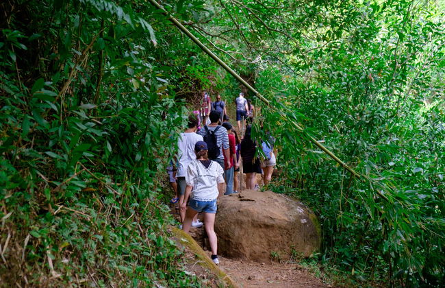 Excursion à la cascade de Manoa - Photo 3