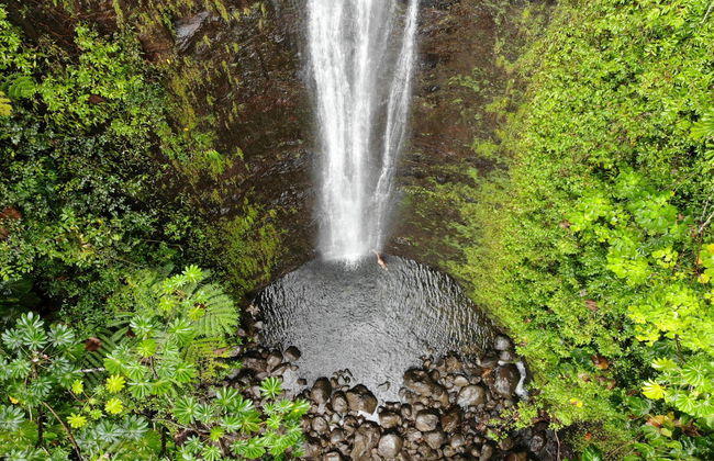 Excursion à la cascade de Manoa - Photo 4