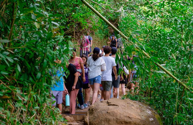 Excursion à la cascade de Manoa - Photo 5
