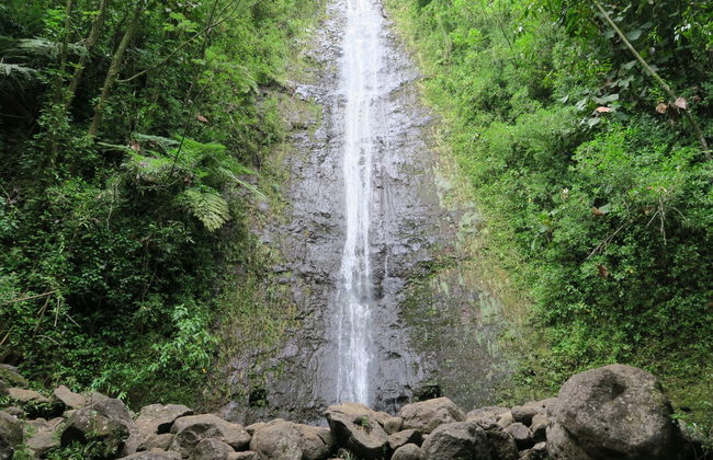 Excursion à la cascade de Manoa - Photo 2
