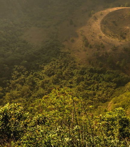 Foto de Excursión al Parque Nacional El Boquerón