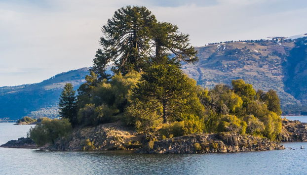 Escursione a Villa Pehuenia - Foto 4