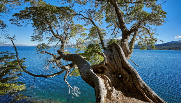 Escursione a Villa Pehuenia - Foto 2