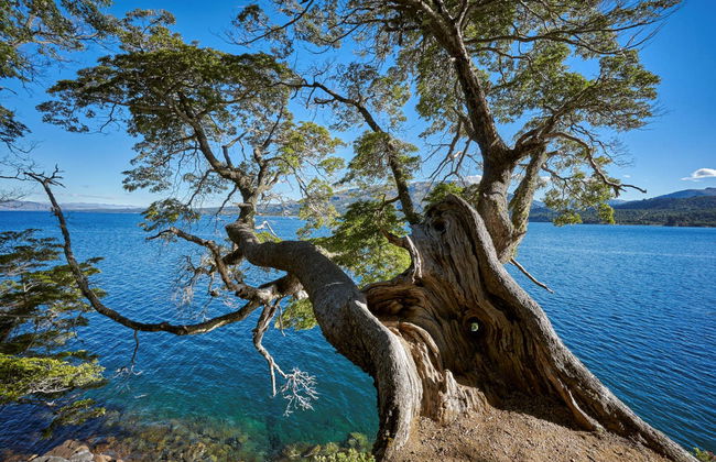 Escursione a Villa Pehuenia - Foto 2