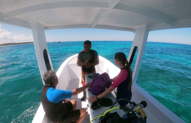 PADI Open Water Diving Course - Foto 1