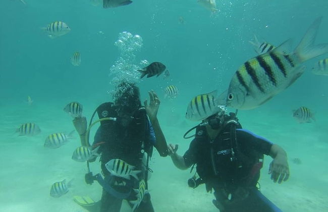 PADI Open Water Diving Course - Foto 2
