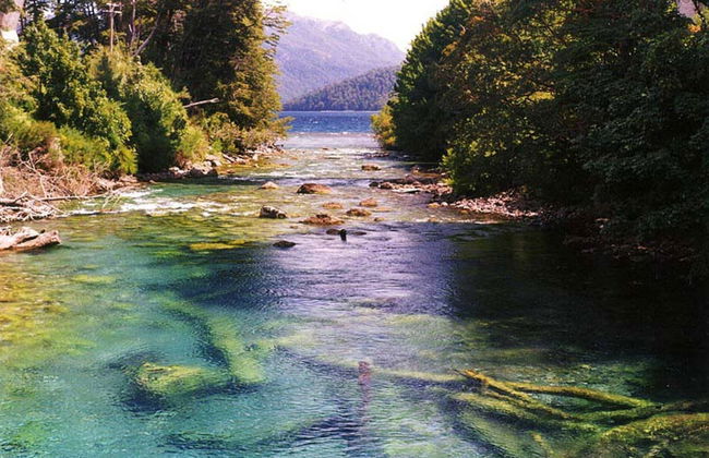 Tour de nieve por Villa La Angostura y Cerro Bayo - Foto 6