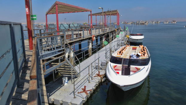 Islas Ballestas + Reserva Nacional de Paracas - Foto 4