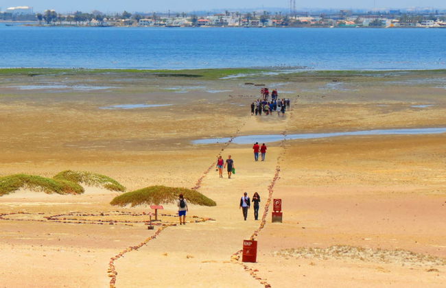 Ilhas Ballestas + Reserva Nacional de Paracas - Foto 3