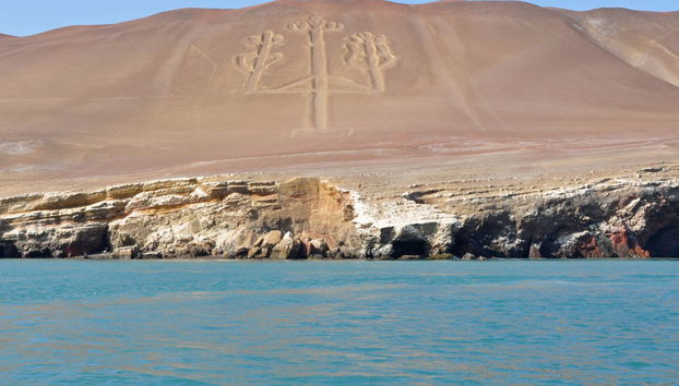 Islas Ballestas + Reserva Nacional de Paracas - Foto 3