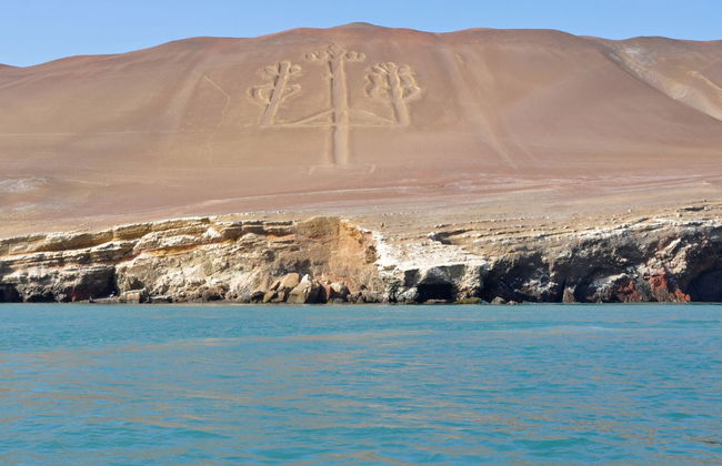 Isole Ballestas + Riserva Nazionale di Paracas - Foto 3