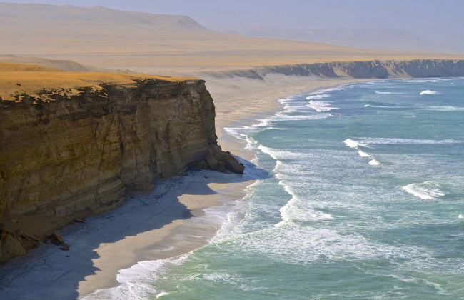 Isole Ballestas + Riserva Nazionale di Paracas - Foto 2