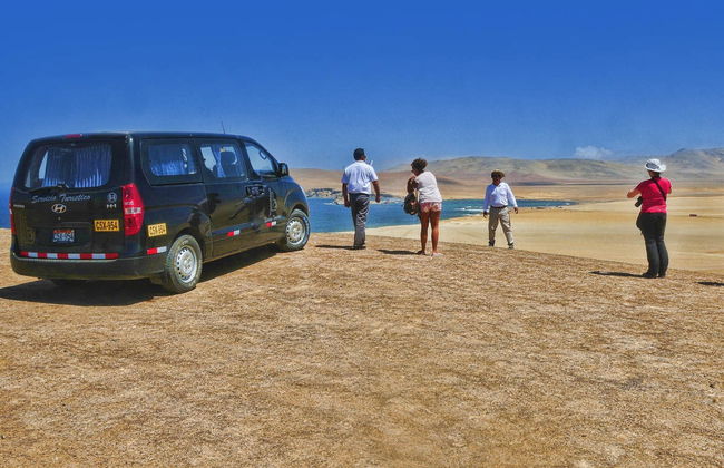 Ilhas Ballestas + Reserva Nacional de Paracas - Foto 4