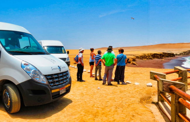 Ilhas Ballestas + Reserva Nacional de Paracas - Foto 2