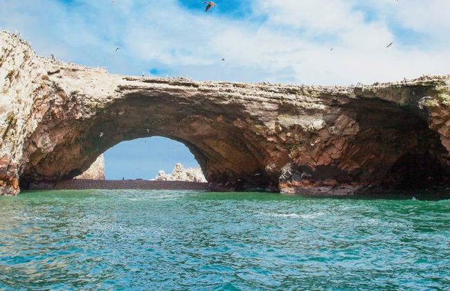 Ilhas Ballestas + Reserva Nacional de Paracas - Foto 5