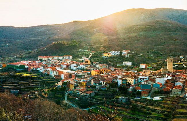 Excursion dans la vallée du Jerte - Photo 3