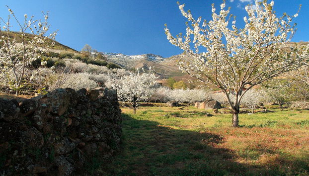Excursion dans la vallée du Jerte - Photo 2