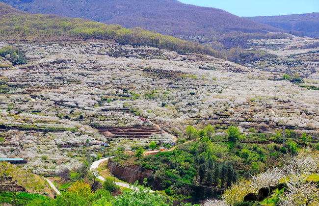 Excursion dans la vallée du Jerte - Photo 1