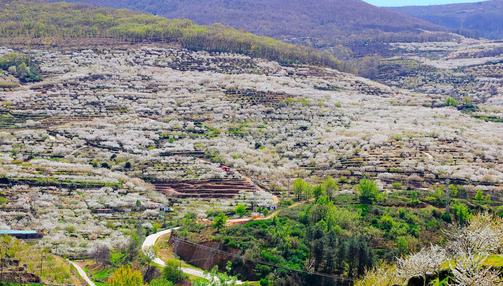 Excursion dans la vallée du Jerte - Photo 1