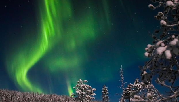 Northern Lights Snowshoeing Tour - Photo 5