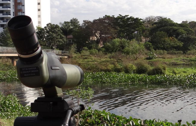 Tour por Posadas + Avistamiento de aves - Foto 2