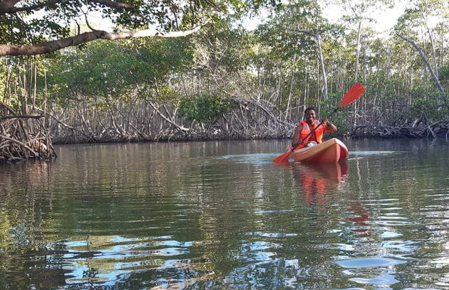 Tour en kayak por el Parque Nacional Los Haitises - Foto 4