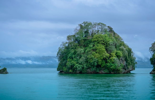 Tour en kayak por el Parque Nacional Los Haitises - Foto 5