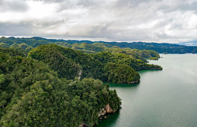 Tour en kayak por el Parque Nacional Los Haitises - Foto 6