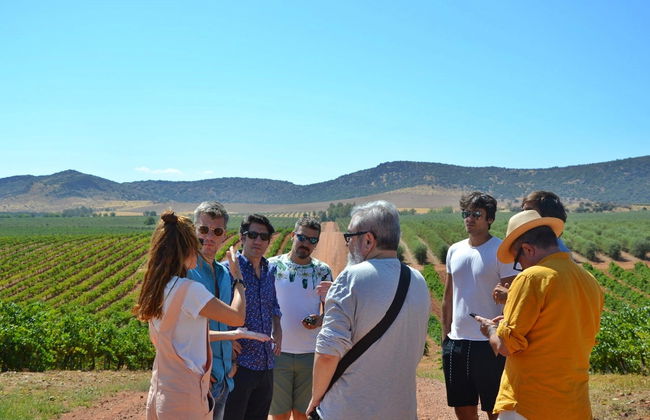 Tour del vino por Tomelloso - Foto 8