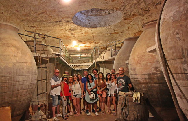 Tour del vino por Tomelloso - Foto 3