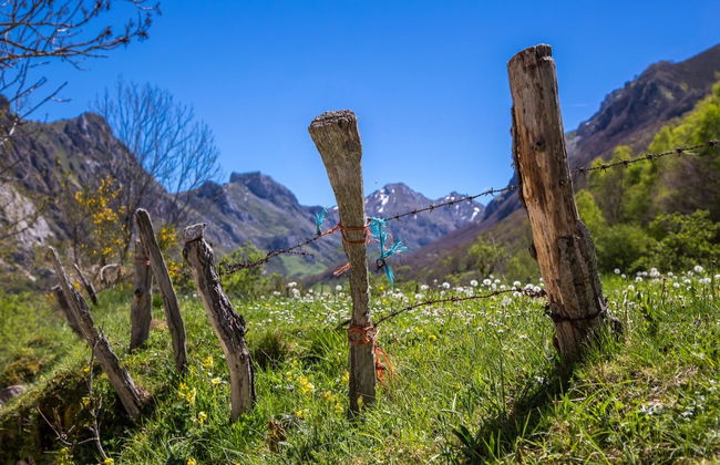 Tour por el Parque Natural de Somiedo - Foto 2